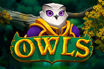 Owls