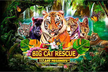 Big Cat Rescue Megaways