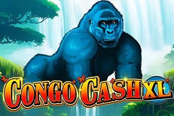 Congo Cash XL
